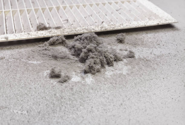 Best Ductwork Cleaning Services  in Agua Dulce, TX