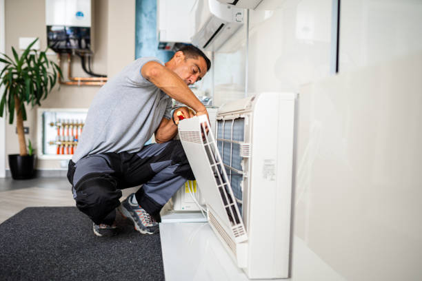 Best Home Air Vent Cleaning  in Agua Dulce, TX
