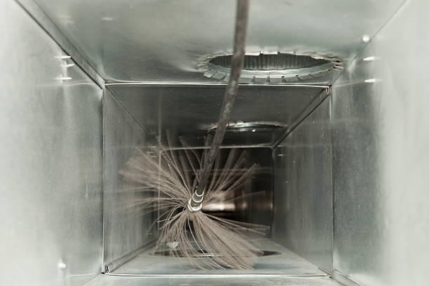 Best Local Air Duct Cleaning Services  in Agua Dulce, TX