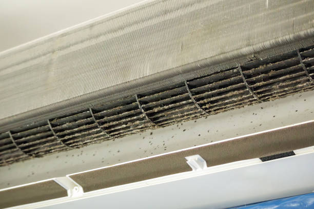 Best Affordable Air Duct Cleaning  in Agua Dulce, TX