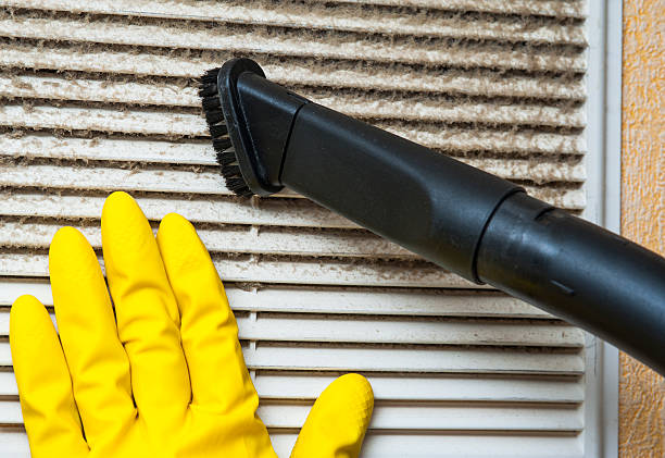 Best HVAC Duct Inspection Services  in Agua Dulce, TX
